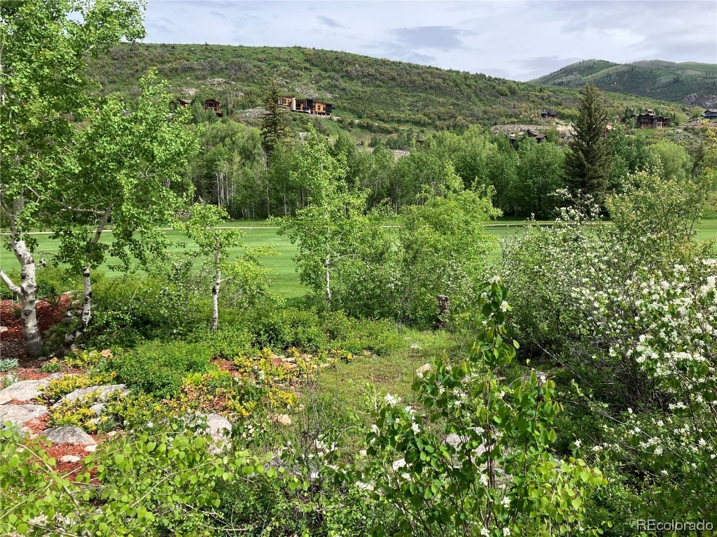971 Steamboat Boulevard, Steamboat Springs, CO 80487 Listing Photo  8