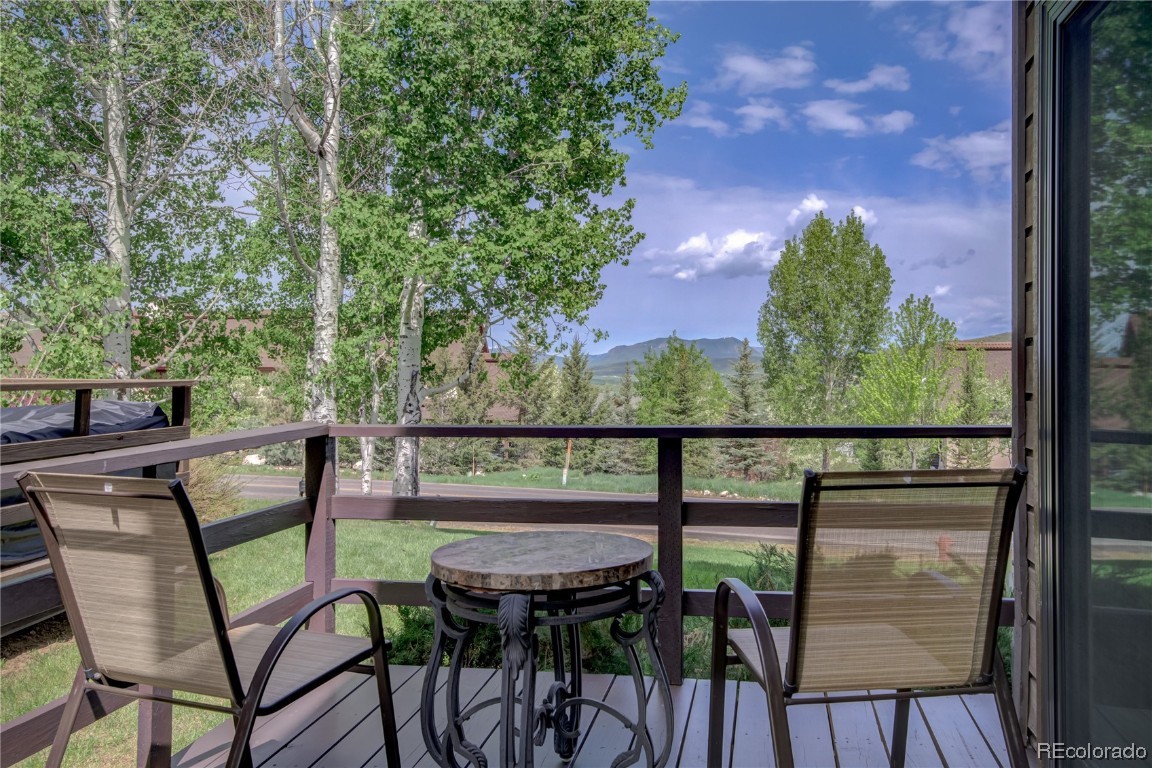 195 Willett Heights Trail, #1, Steamboat Springs, CO 80487 Listing Photo  17