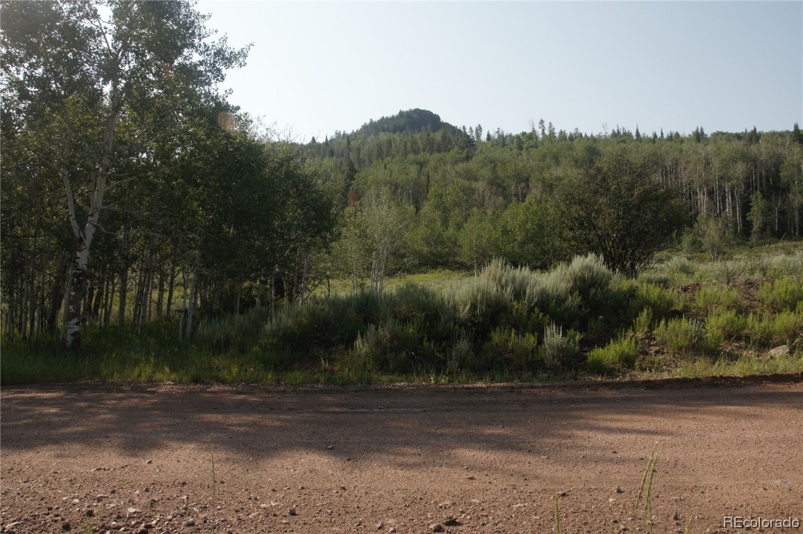 31600 & 31620 Apache Trail, Oak Creek, CO 80467 Listing Photo  7