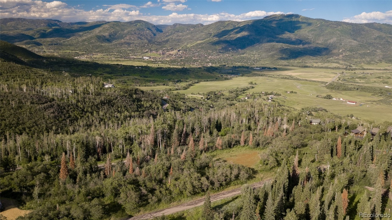 30320 Blue Grouse Lane, Steamboat Springs, CO 80487 Listing Photo  1