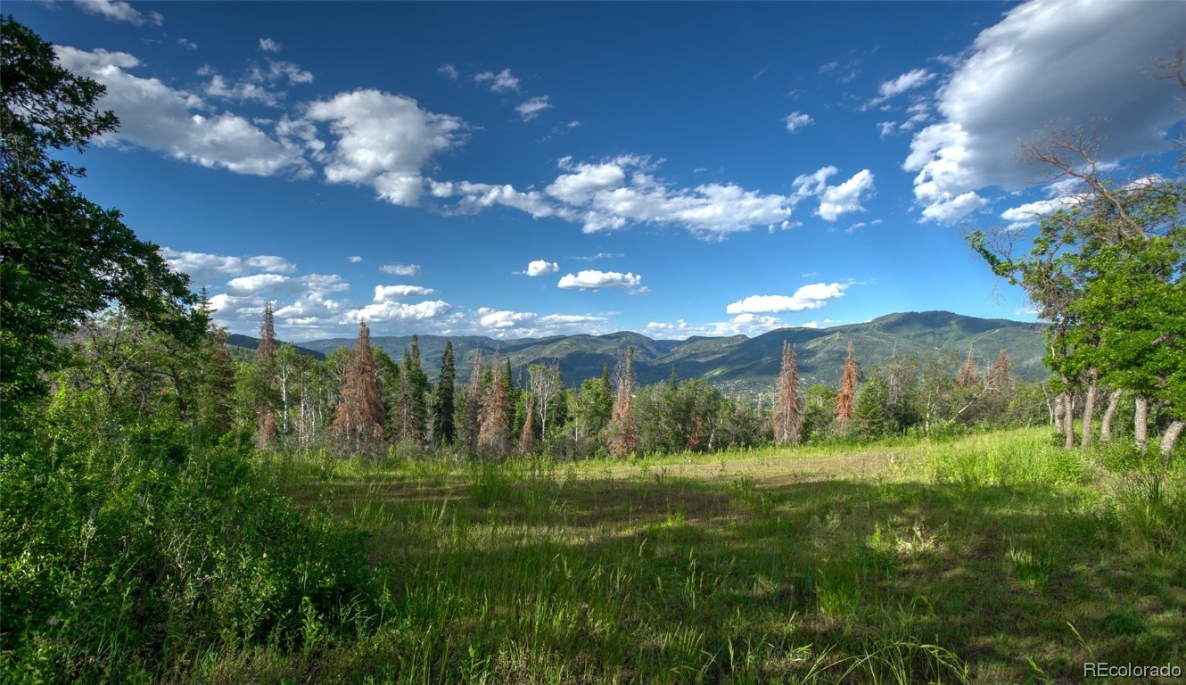 30320 Blue Grouse Lane, Steamboat Springs, CO 80487 Listing Photo  11