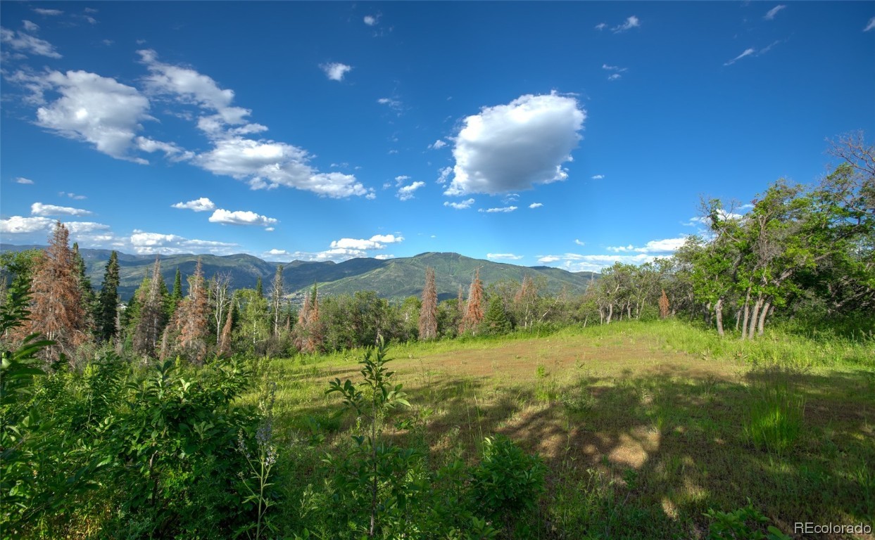 30320 Blue Grouse Lane, Steamboat Springs, CO 80487 Listing Photo  12