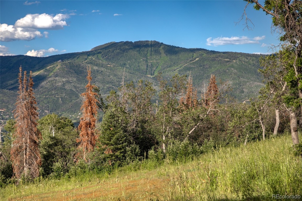 30320 Blue Grouse Lane, Steamboat Springs, CO 80487 Listing Photo  3