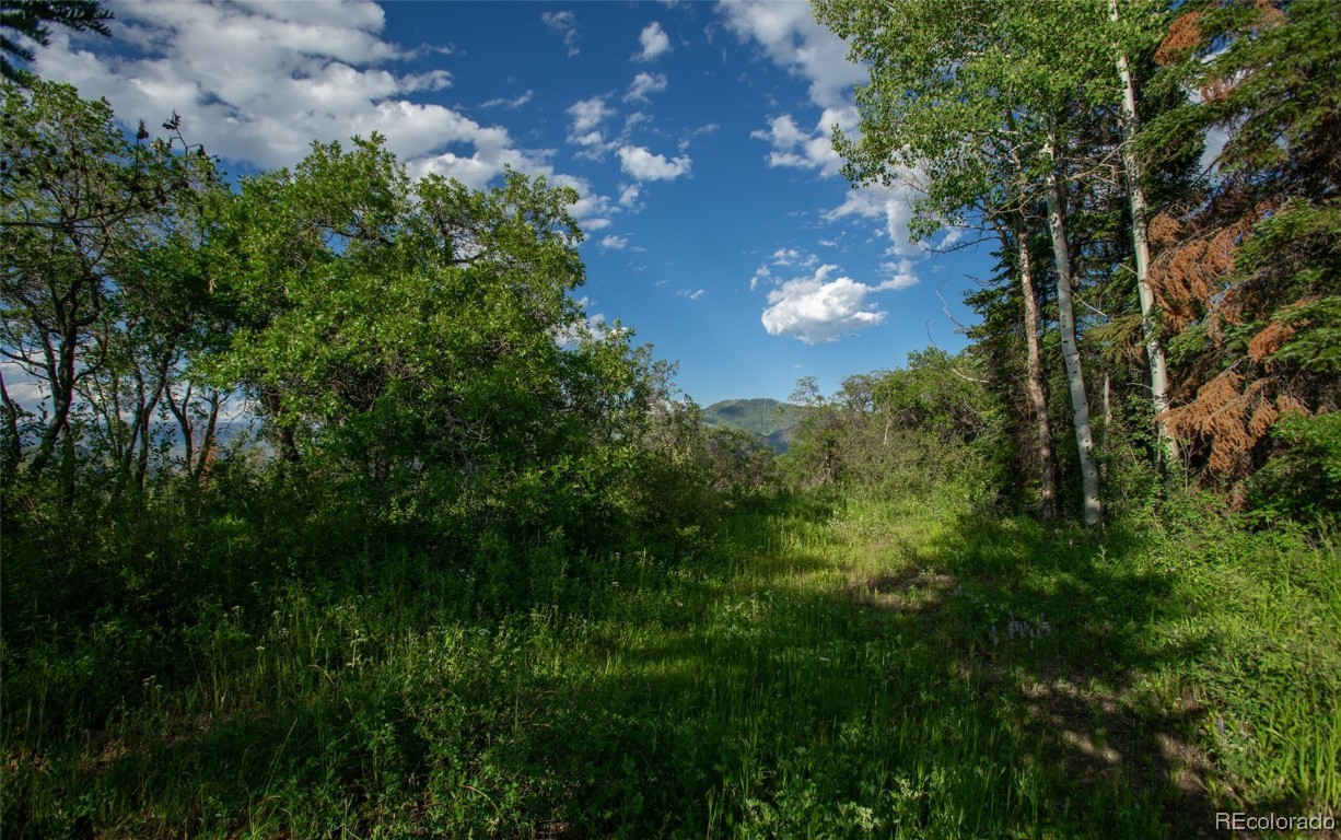 30320 Blue Grouse Lane, Steamboat Springs, CO 80487 Listing Photo  4
