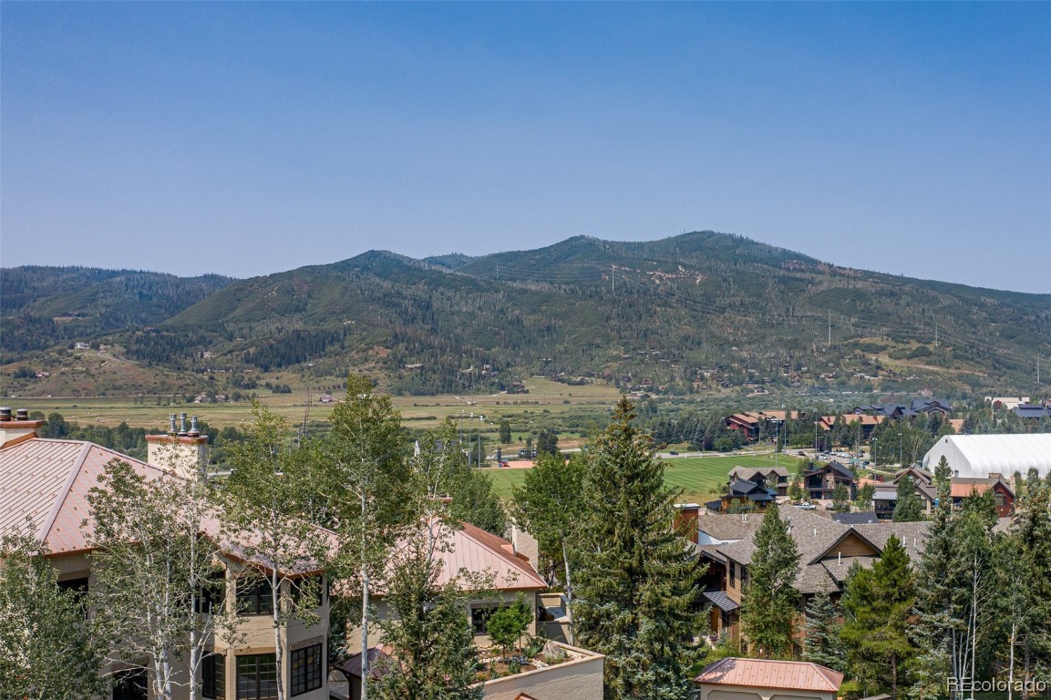 1446 Flattop Circle, Steamboat Springs, CO 80487 Listing Photo  29