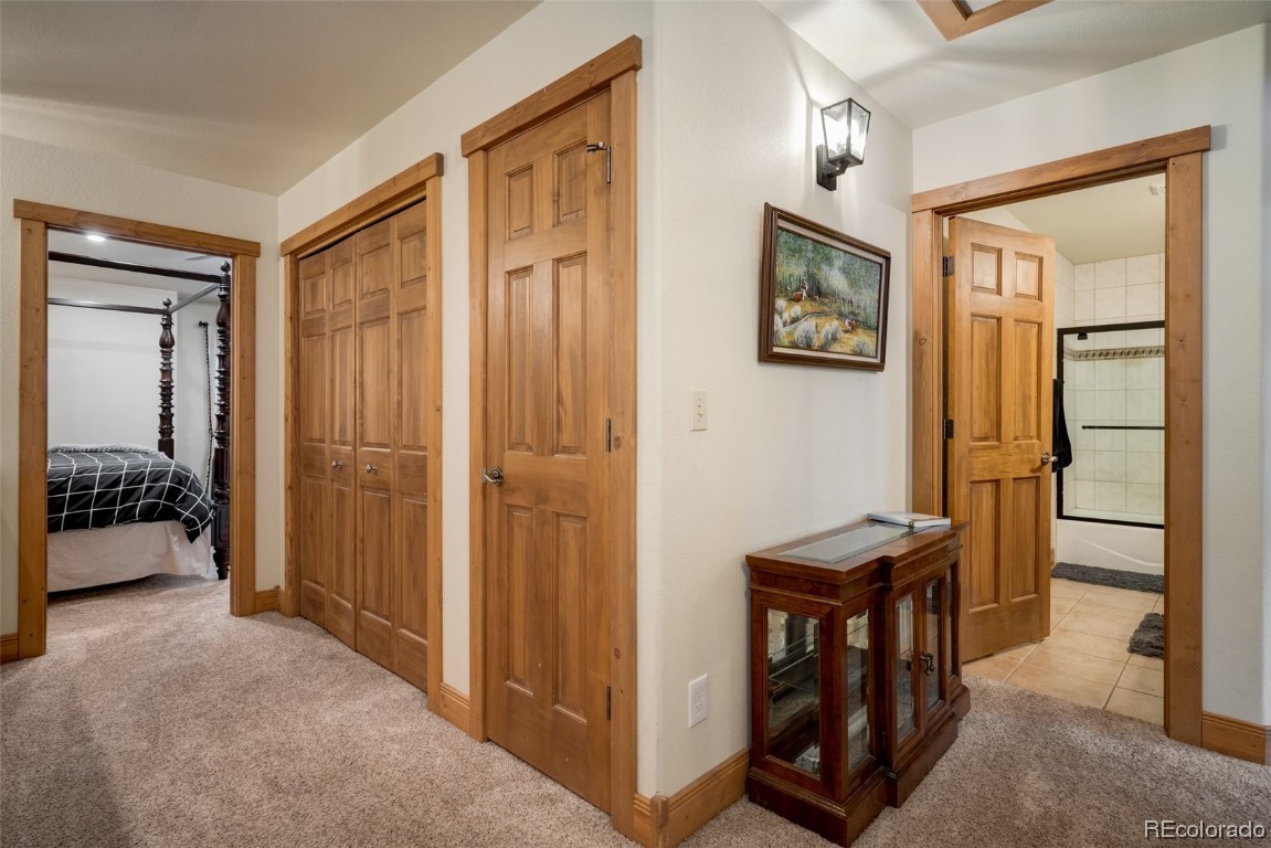 3461 Spring Valley Drive, #29, Steamboat Springs, CO 80487 Listing Photo  40