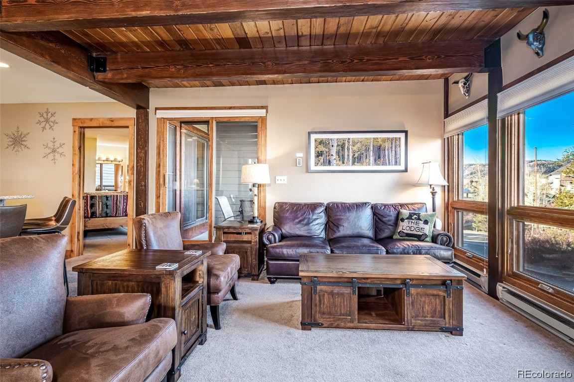 2700 Village Drive, #E-205, Steamboat Springs, CO 80487 Listing Photo  7