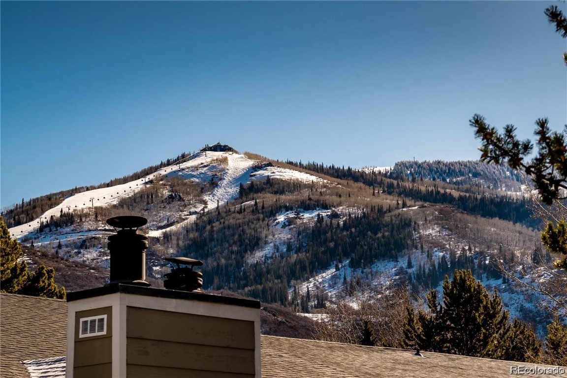 1380 Athens Plaza, #16, Steamboat Springs, CO 80487 Listing Photo  16