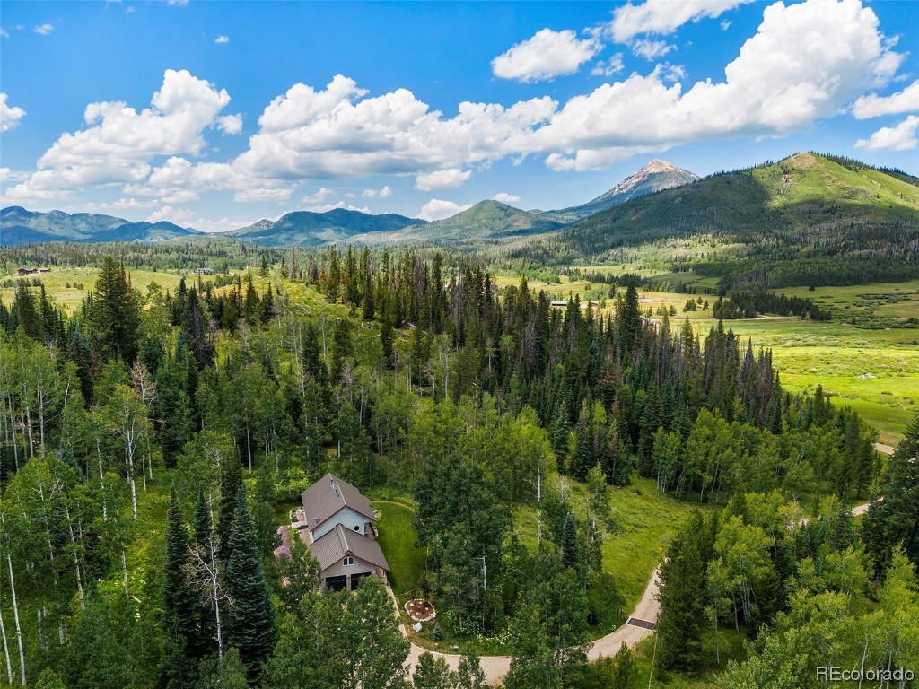 27925 County Road 209a, Clark, CO 80487 Listing Photo  40