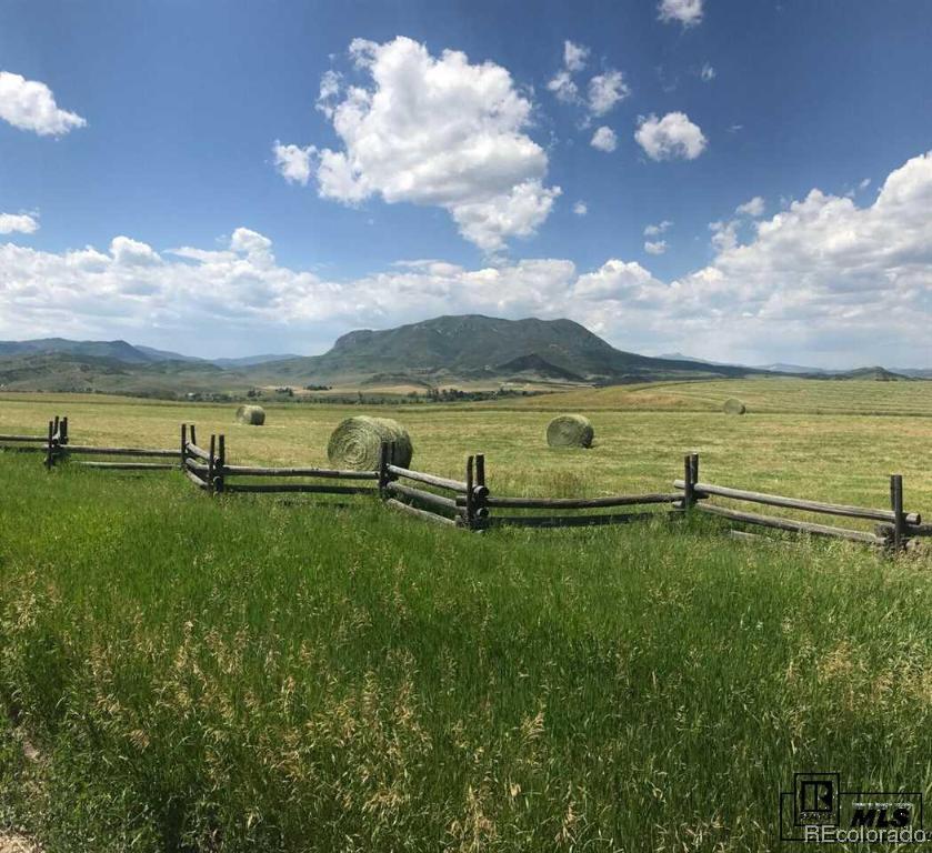 42120 Home Stream Path, Steamboat Springs, CO 80487 Listing Photo  3