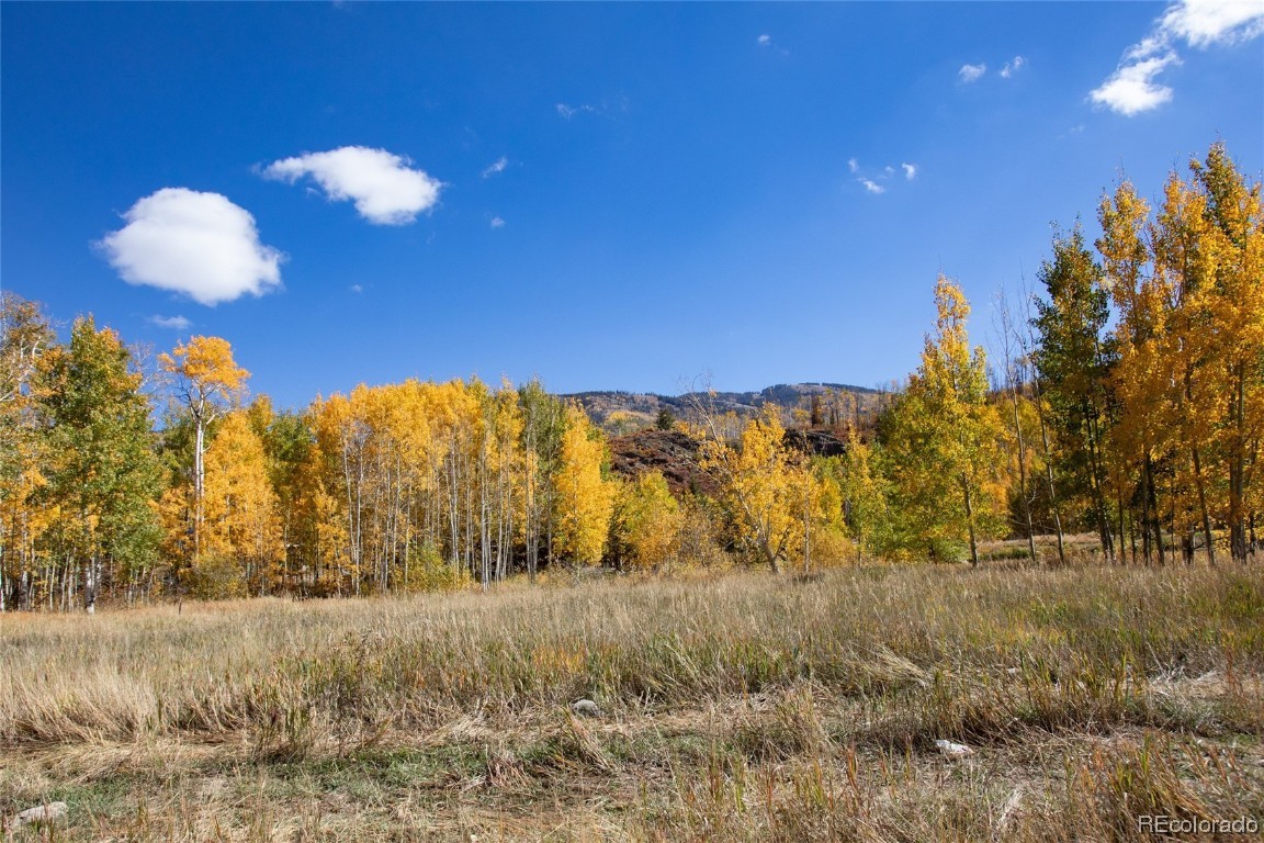 3000 Littlefish Trail, Steamboat Springs, CO 80487 Listing Photo  3