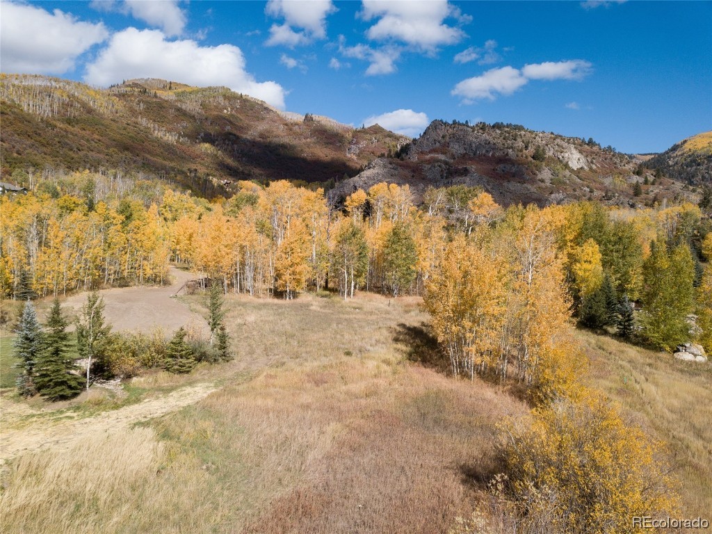 3000 Littlefish Trail, Steamboat Springs, CO 80487 Listing Photo  4