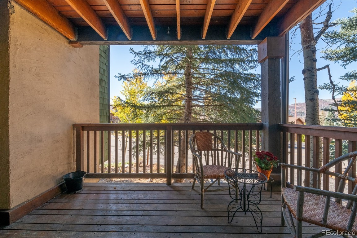 2470 Apres Ski Way, #A-102, Steamboat Springs, CO 80487 Listing Photo  15