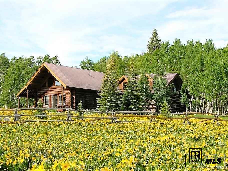 59005 Button Willow Drive, Clark, CO 80428 Listing Photo  1