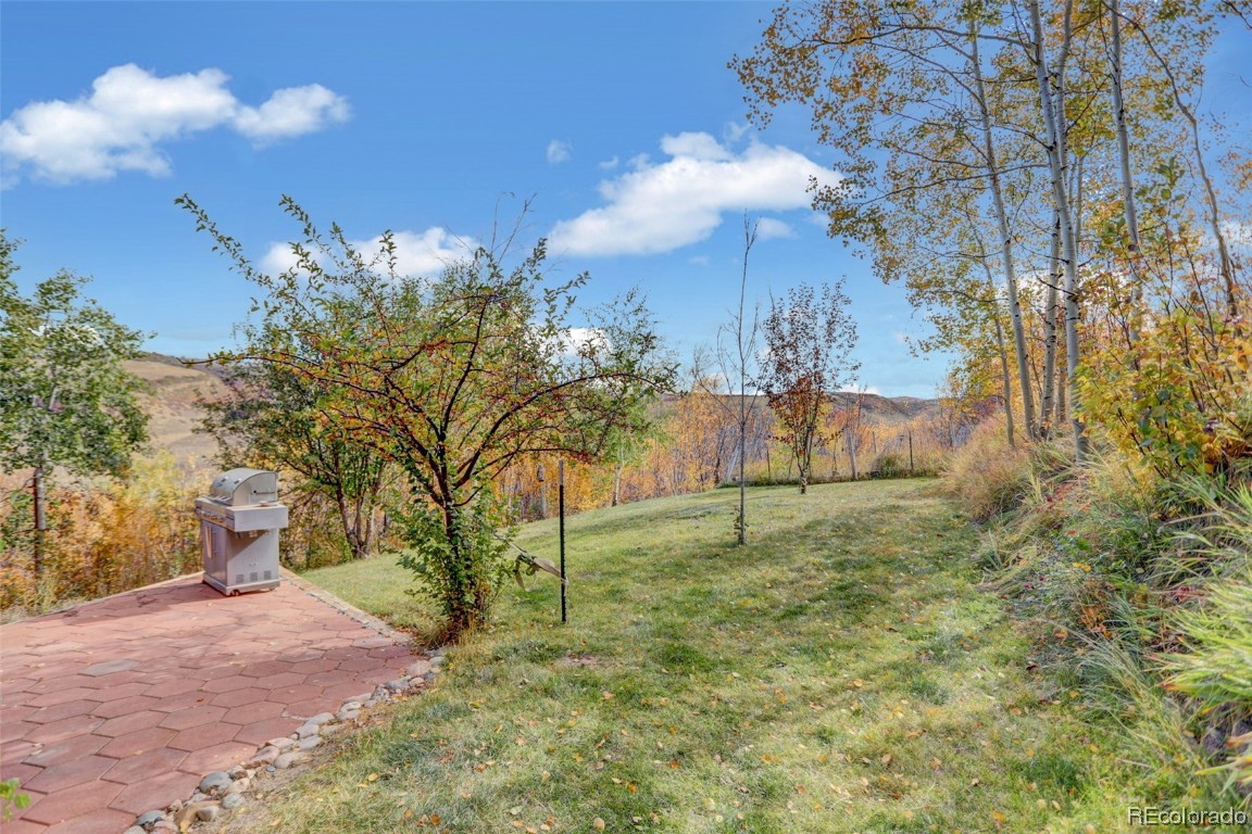 37695 County Road 179, Steamboat Springs, CO 80487 Listing Photo  11