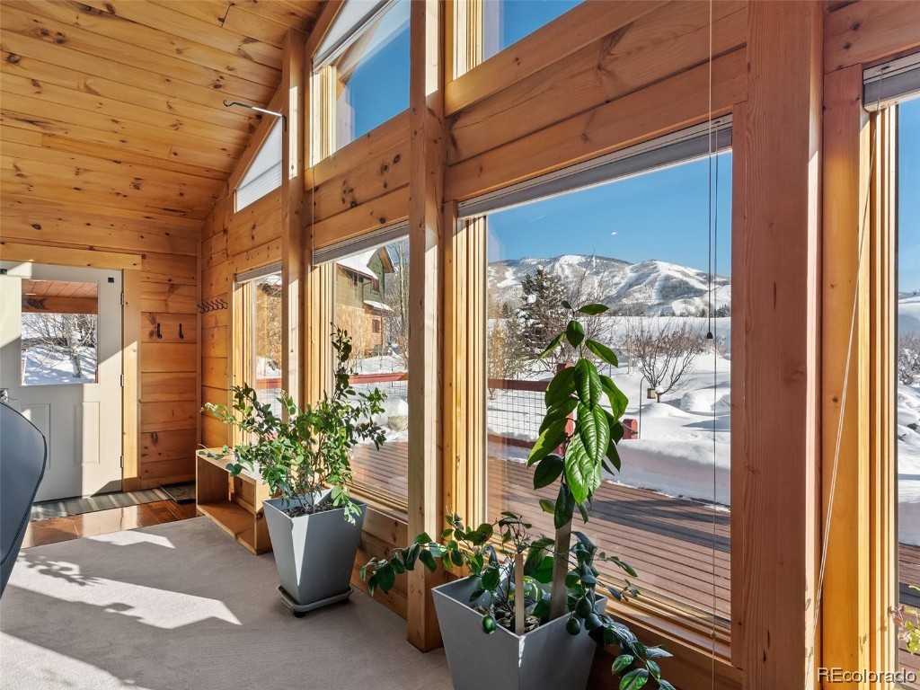 955 Falling Water Lane, Steamboat Springs, CO 80487 Listing Photo  3