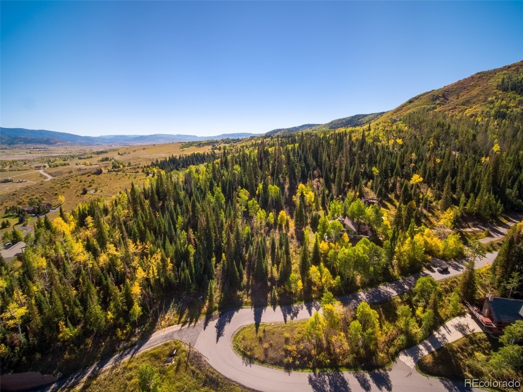 36885 Tree Haus Drive, Steamboat Springs, CO 80487 Listing Photo  18