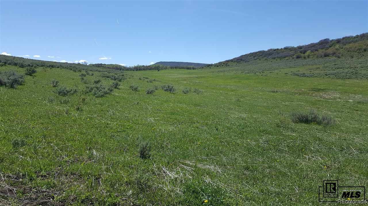 30800 RCR 35, Steamboat Springs, CO 80487 Listing Photo  2