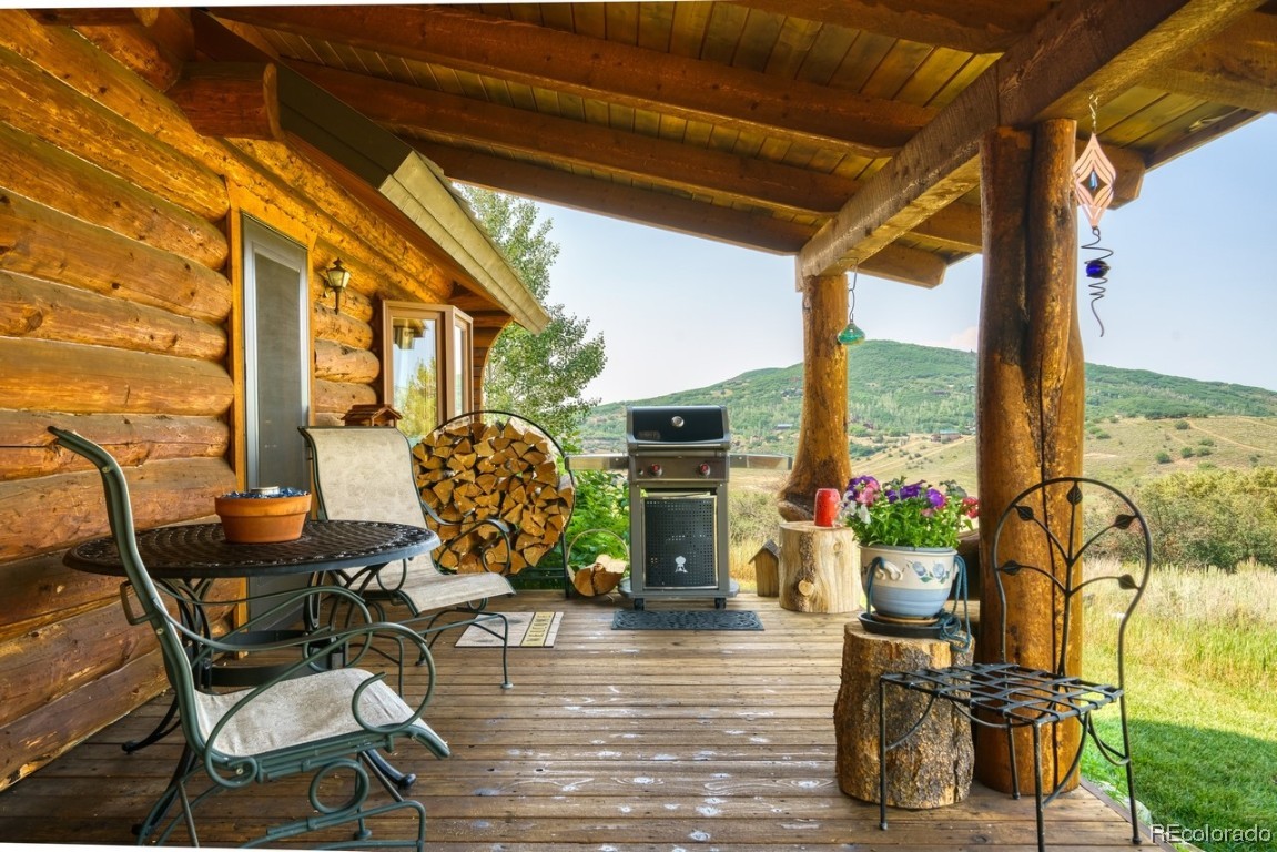 29755 Elk View Drive, Steamboat Springs, CO 80487 Listing Photo  33