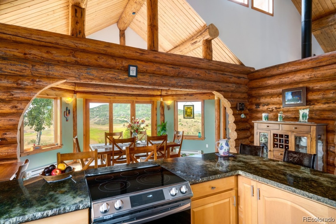 29755 Elk View Drive, Steamboat Springs, CO 80487 Listing Photo  8