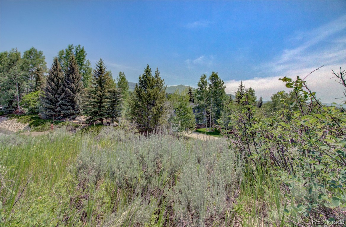 619 Meadowbrook Circle, Steamboat Springs, CO 80487 Listing Photo  23