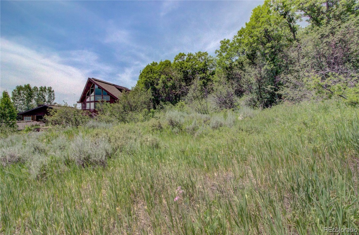 619 Meadowbrook Circle, Steamboat Springs, CO 80487 Listing Photo  24
