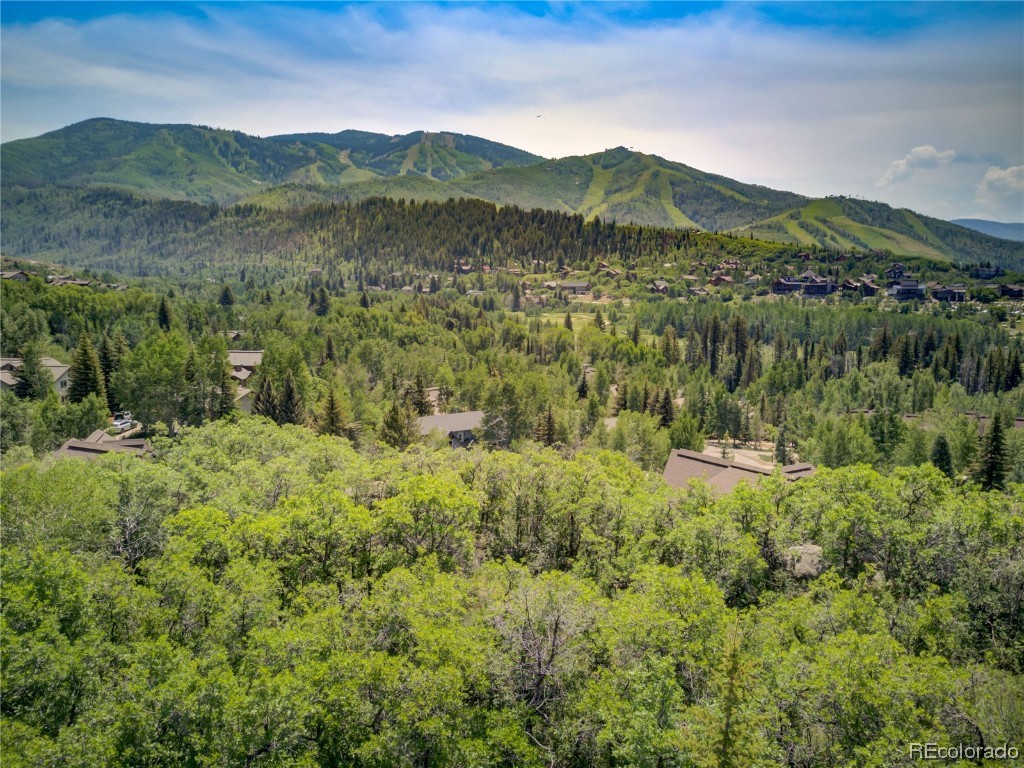 619 Meadowbrook Circle, Steamboat Springs, CO 80487 Listing Photo  28