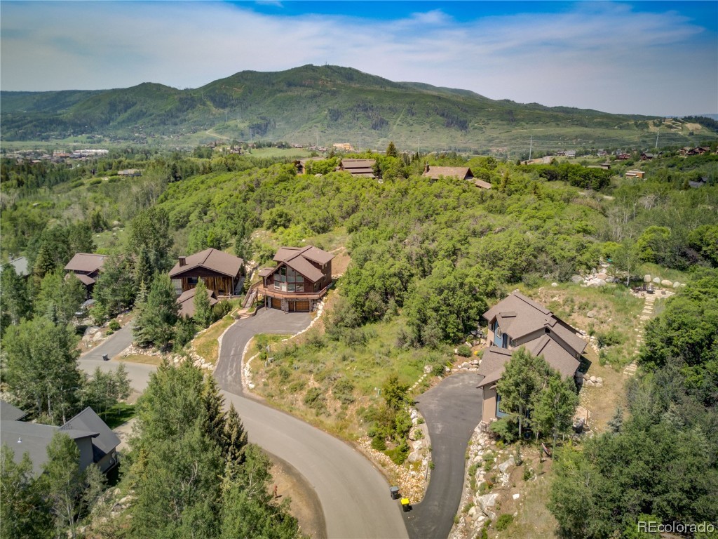 619 Meadowbrook Circle, Steamboat Springs, CO 80487 Listing Photo  4