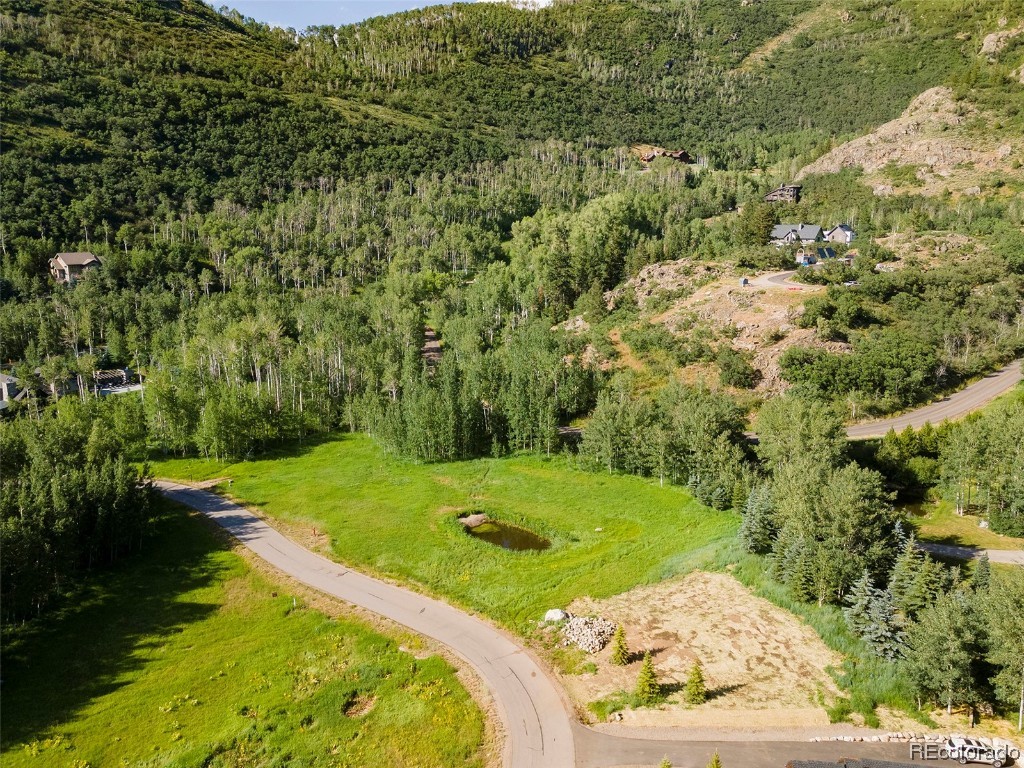 2985 Littlefish Trail, Steamboat Springs, CO 80487 Listing Photo  2