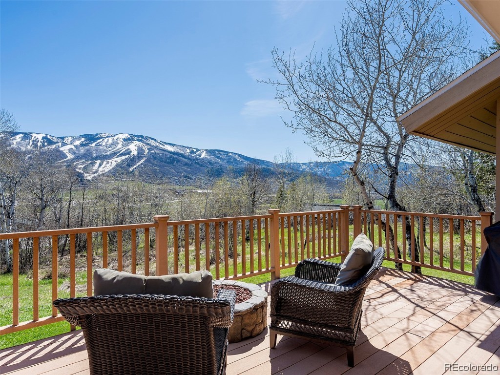 36835 Tree Haus Drive, Steamboat Springs, CO 80487 Listing Photo  2