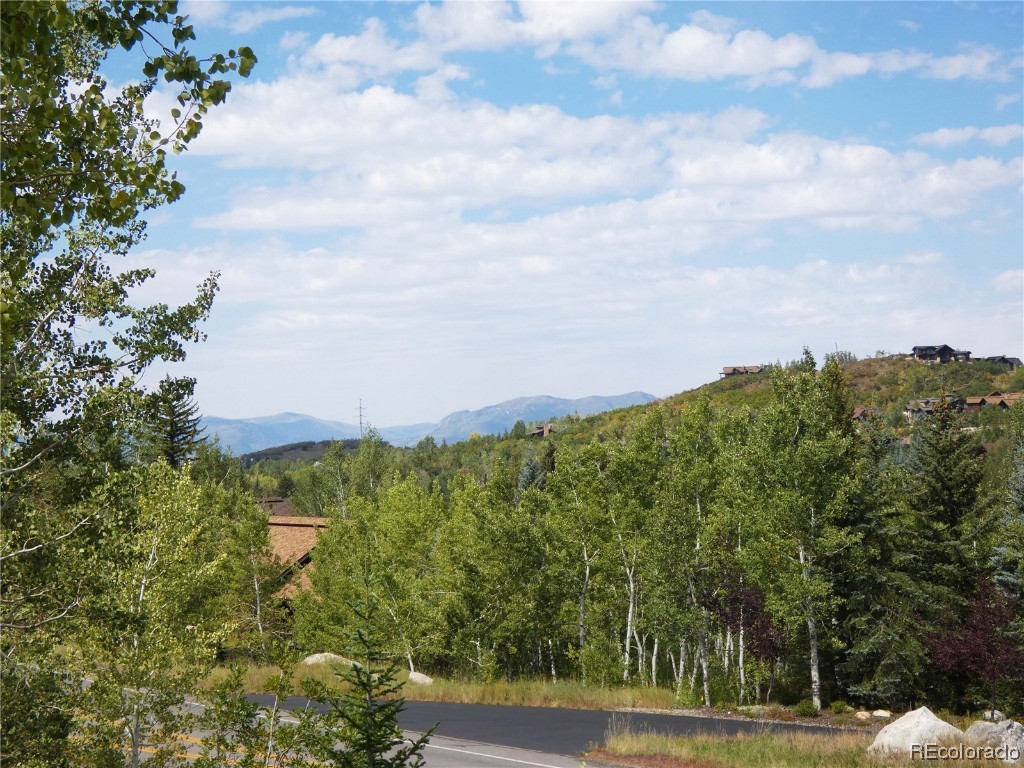 978 Steamboat Boulevard, Steamboat Springs, CO 80487 Listing Photo  18