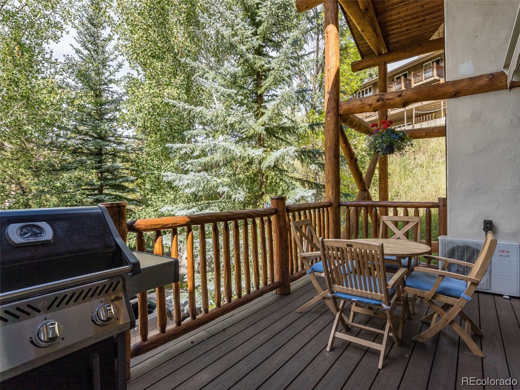 2841 Timber Lane, #1, Steamboat Springs, CO 80487 Listing Photo  21