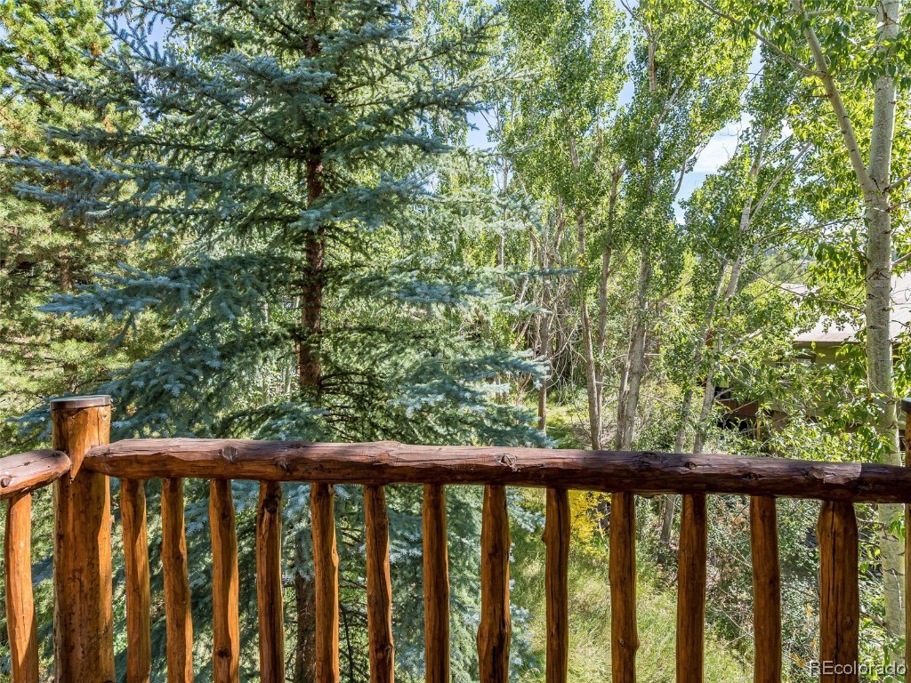 2841 Timber Lane, #1, Steamboat Springs, CO 80487 Listing Photo  23