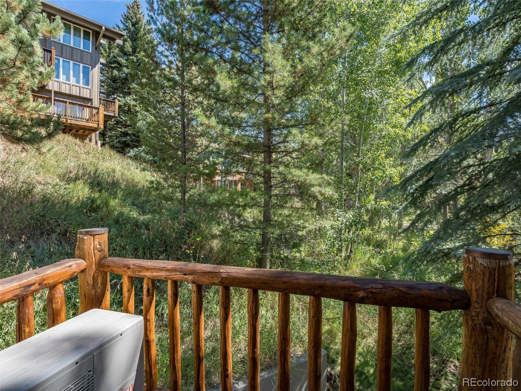 2841 Timber Lane, #1, Steamboat Springs, CO 80487 Listing Photo  24