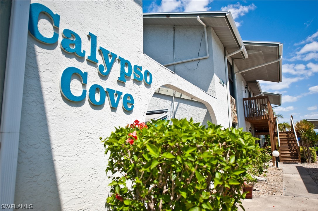 Welcome to Calypso Cove