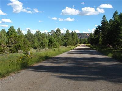 Lot 10 Bobcat Drive, Ramah, NM 87321
