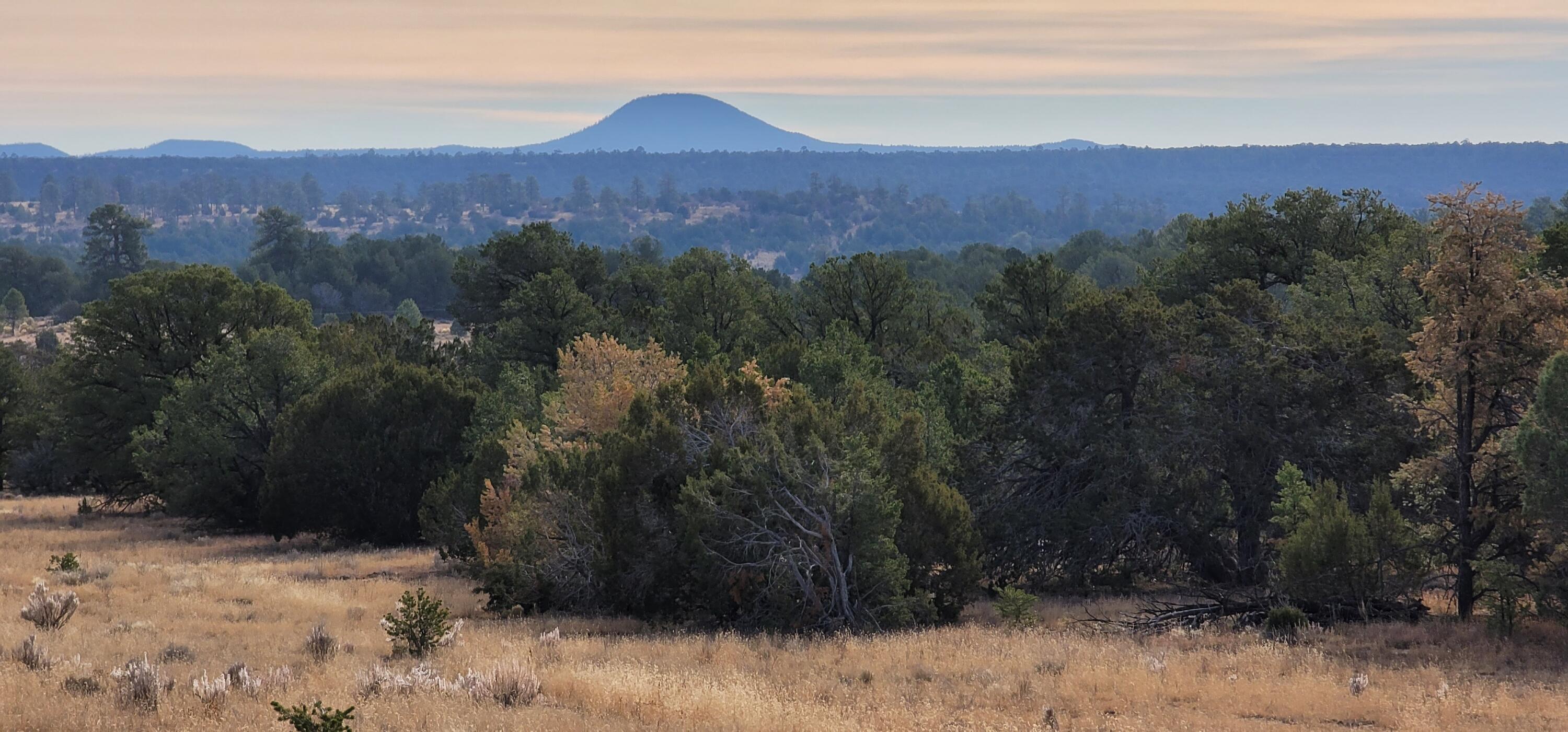 Lot 100 Bodean, Ramah, NM 87321