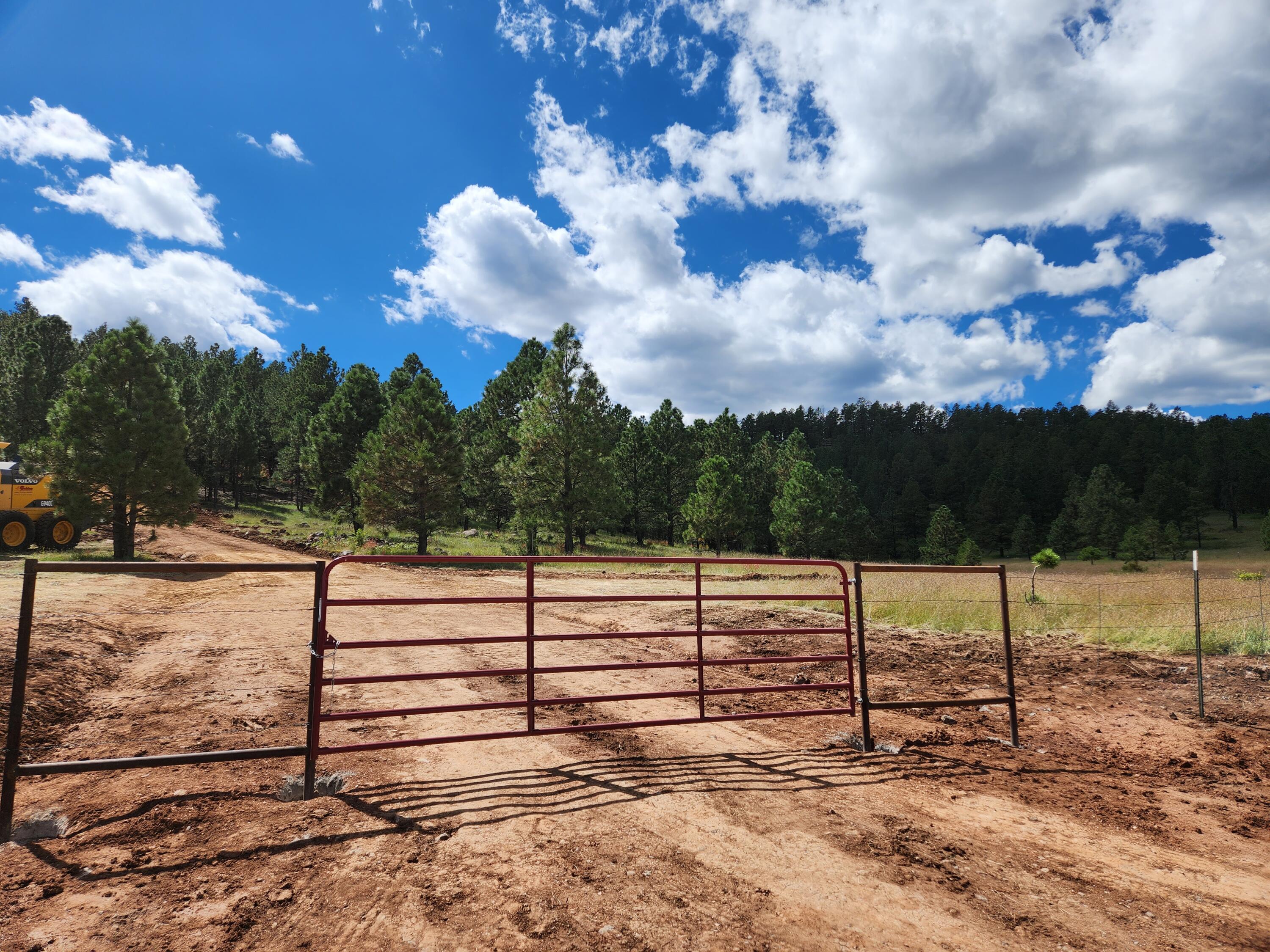 County Road 4, Mora, NM 87732