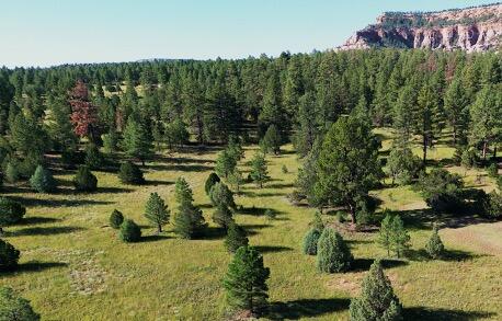 W Bobcat Drive, Ramah, NM 87321