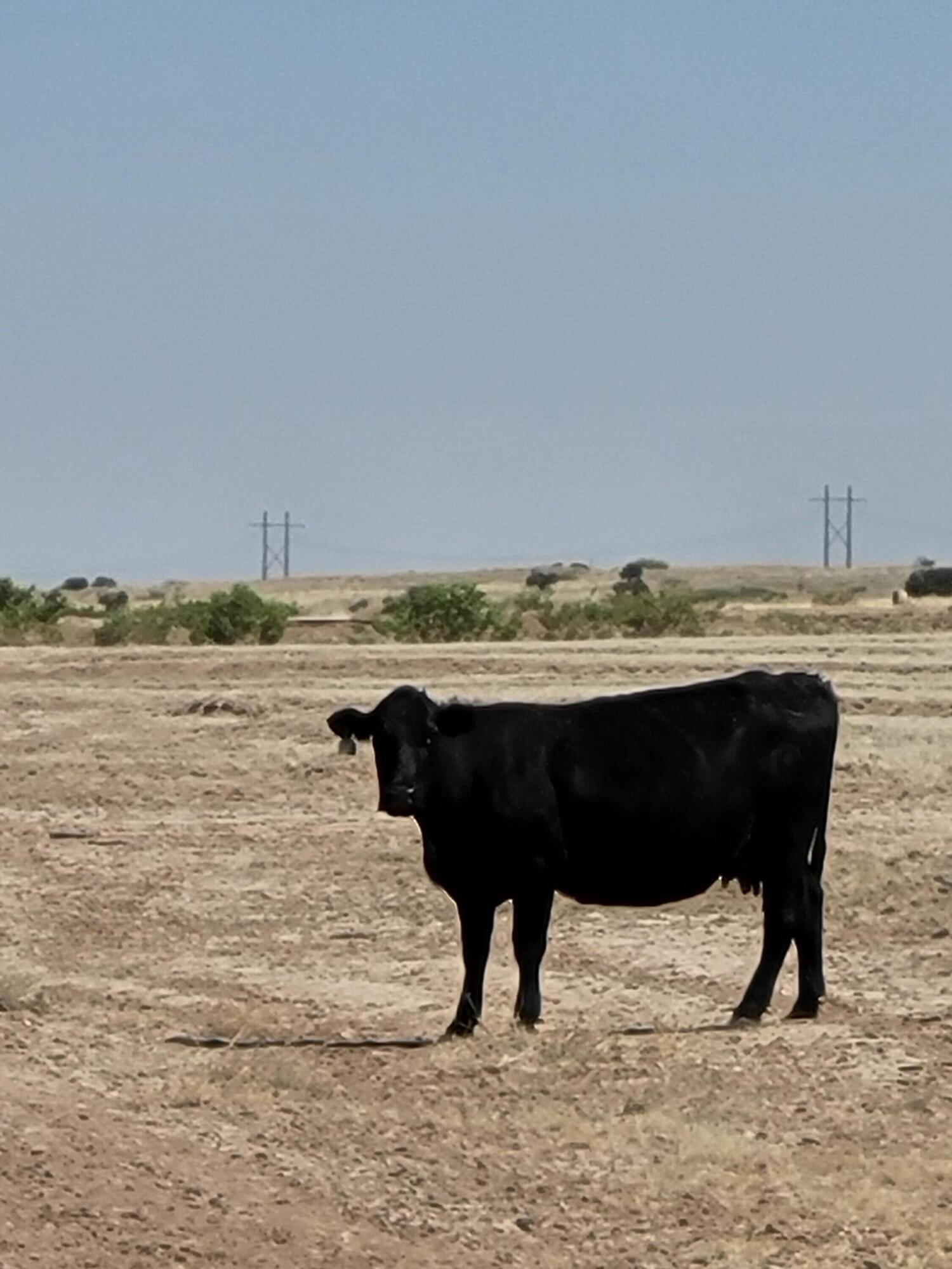 West Belen Grant, Bernardo, NM 87006