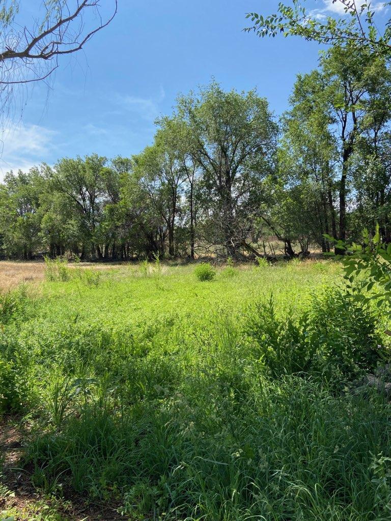 7406 Corrales Road, Corrales, NM 87048