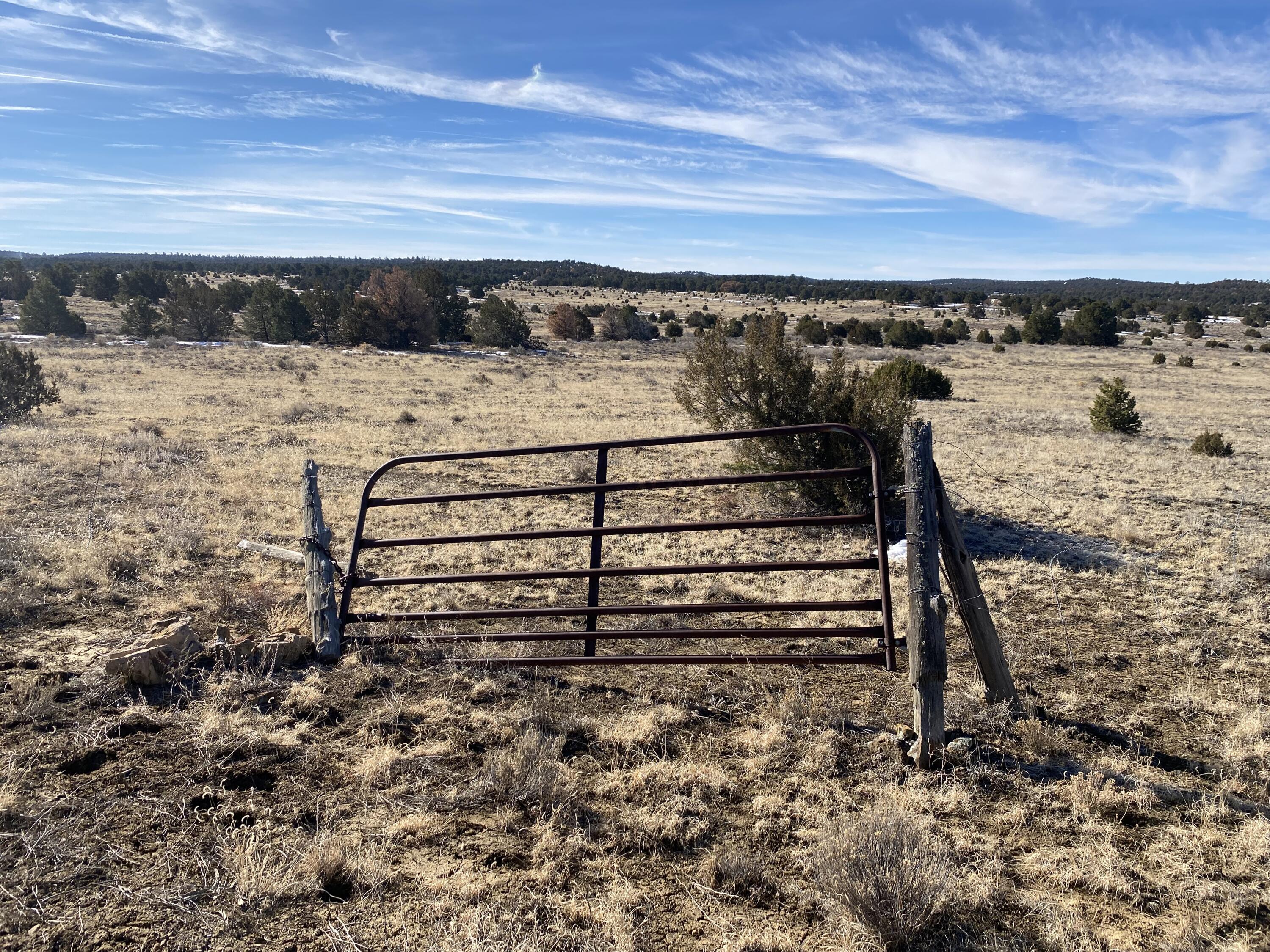Lots 6,7,8 Ridgewood Road - Candy Kitchen, Ramah, NM 87321