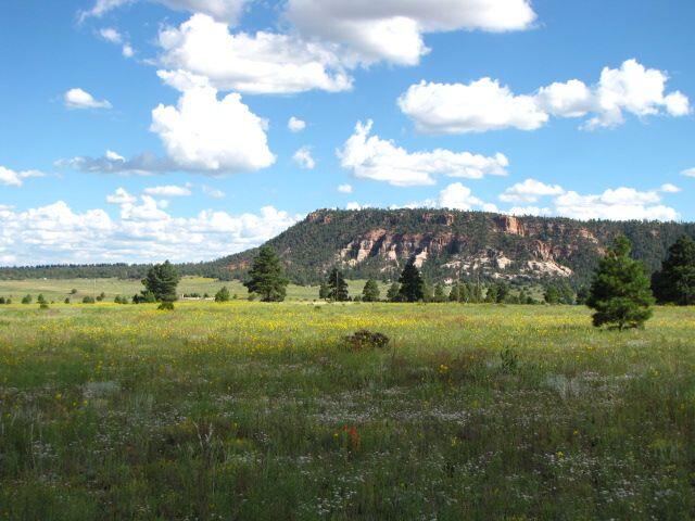 Lot 63 Ash Drive, Ramah, NM 87321