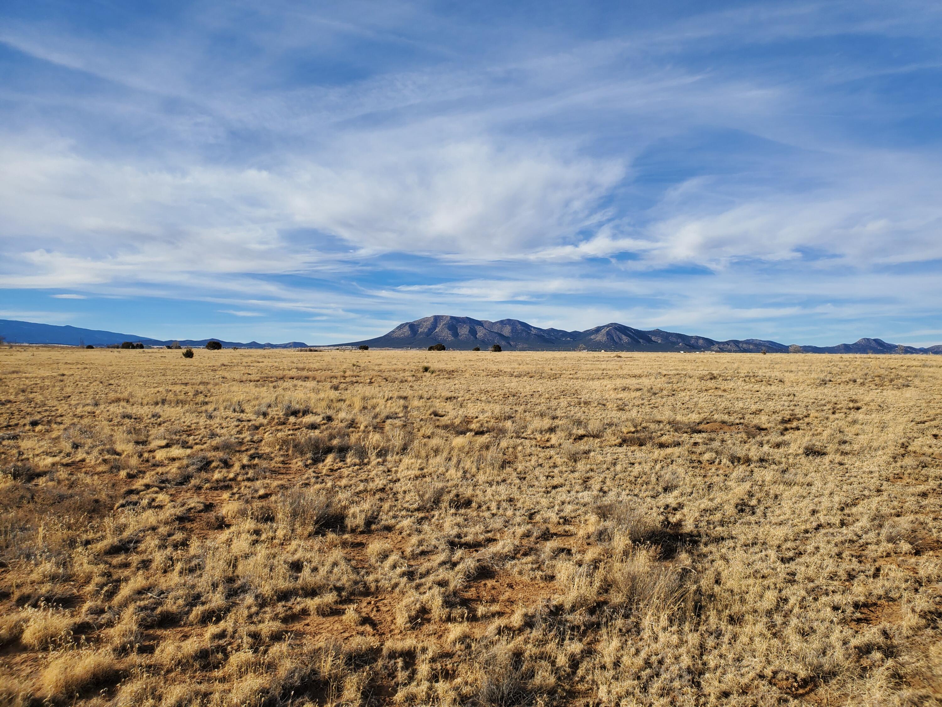 00 Rattlesnake, Edgewood, NM 87015