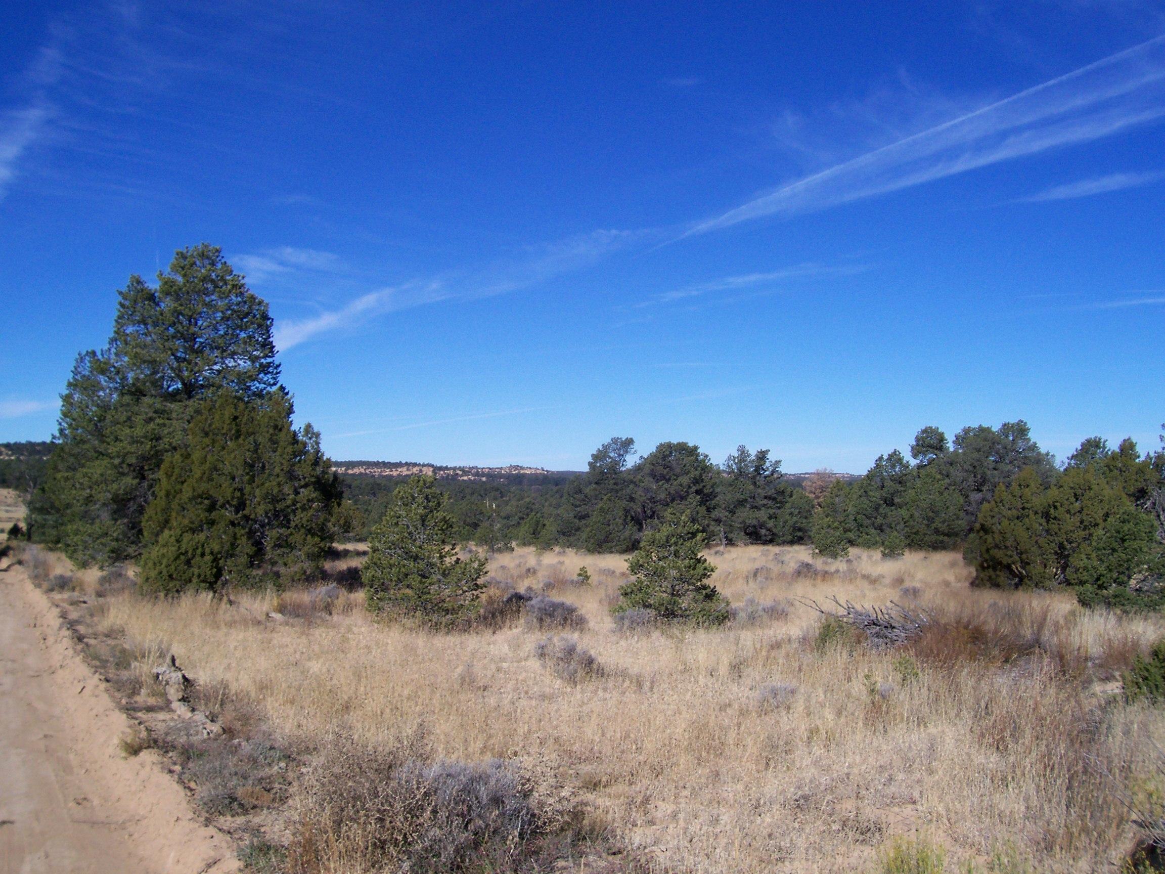 Lot 22 Bucking Horse - Candy Kitchen, Ramah, NM 87321