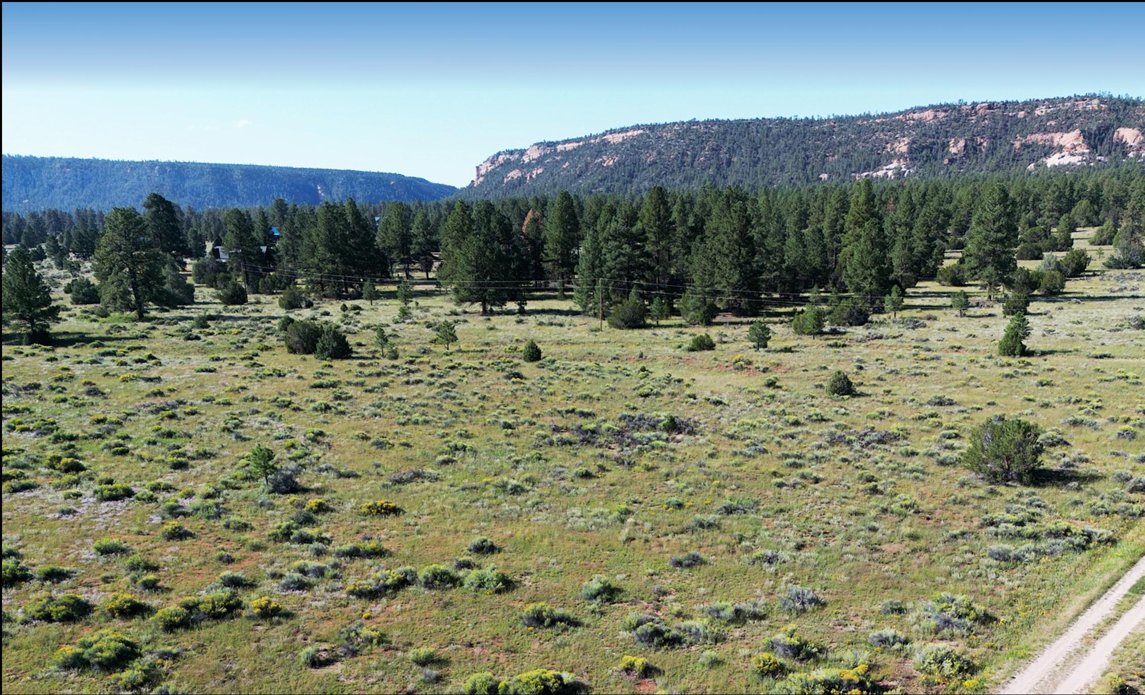Lot 8 E. Lobo Dr., Ramah, NM 87321