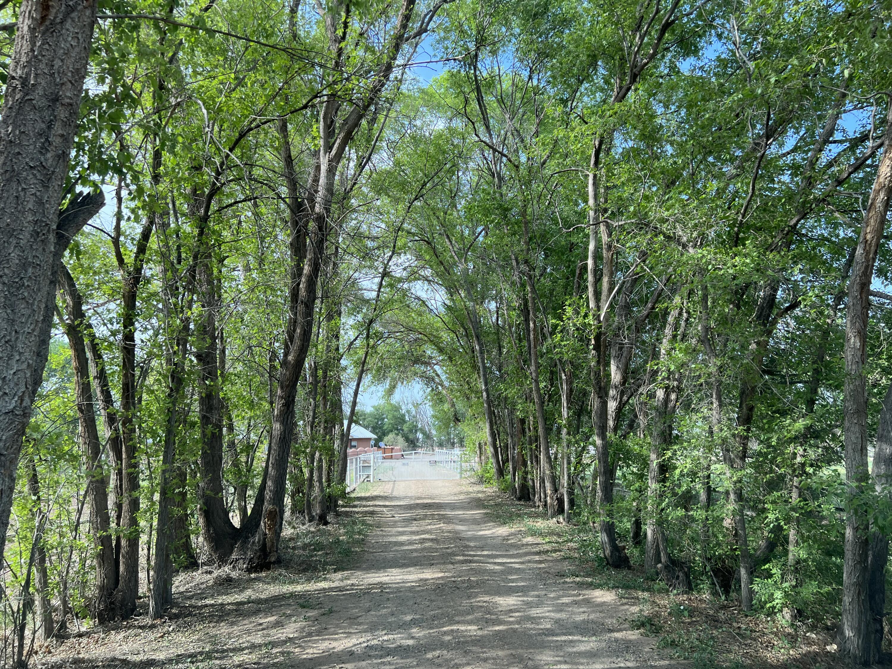 346 S El Cerro Loop, Los Lunas, NM 87031