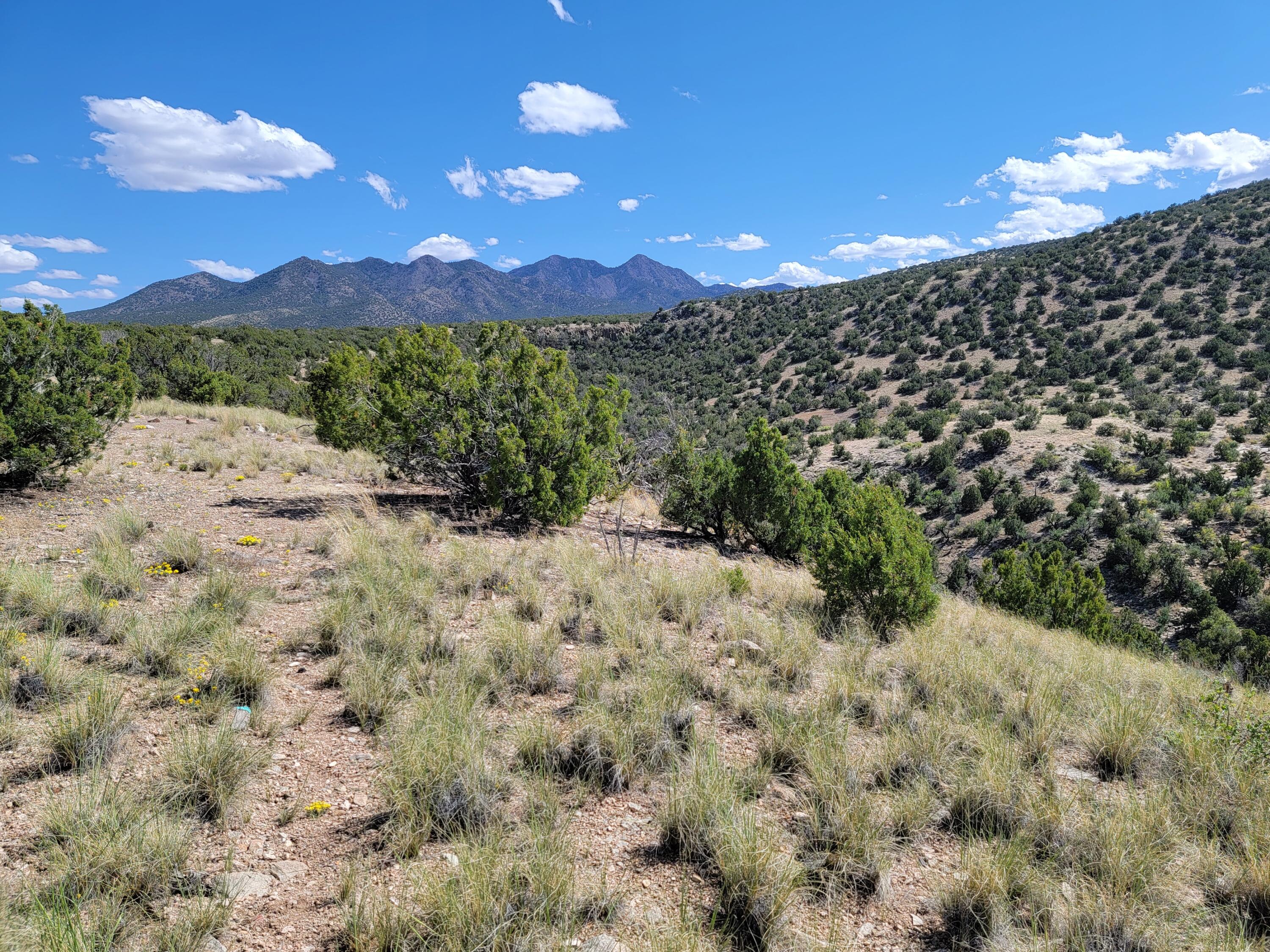 108 Wild Dog Road, Madrid, NM 87010