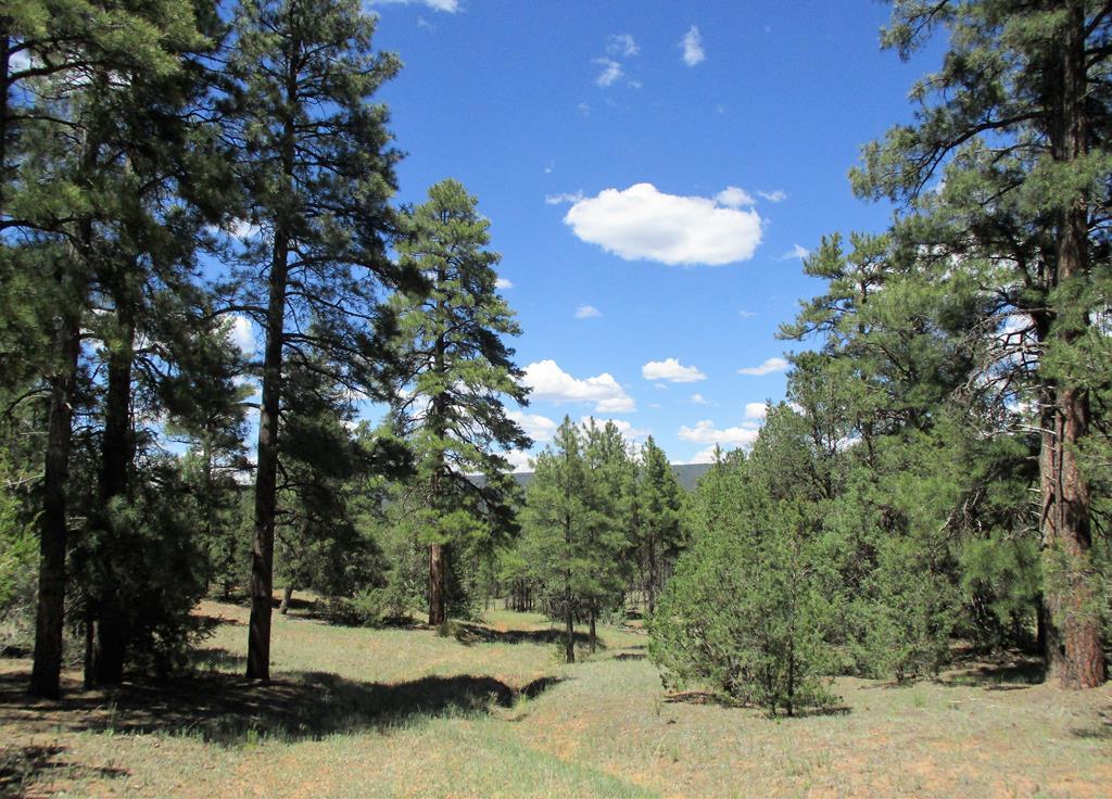 Lot 22 Monte Vista Lane, Ramah, NM 87321