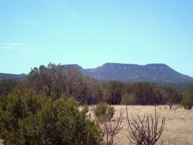 Chupadera Rd, Bernardo, NM 87006